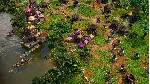❗ AGE OF EMPIRES III: DEFINITIVE EDITION COMPLETE🔑 PC-ПК