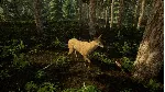 ❗ ANIMAL DOCTOR❗ XBOX ONE/X|S🔑 КЛЮЧ❗ 