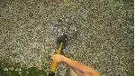 ❗ BARN FINDERS AND TREASURE HUNTER SIMULATOR❗ XBOX🔑 КЛЮЧ