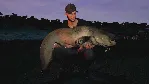❗ EURO FISHING: CASTLE EDITION❗ XBOX ONE/X|S🔑 КЛЮЧ❗ 