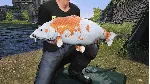 ❗ EURO FISHING: ULTIMATE EDITION❗ XBOX ONE/X|S🔑 КЛЮЧ❗ 