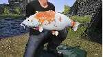 ✅ ❤ ️EURO FISHING: ULTIMATE EDITION❤ ️XBOX🔑 КЛЮЧ