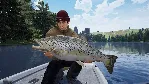 ✅ ❤ ️THE CATCH: CARP & COARSE FISHING❤ ️XBOX+PC🔑 КЛЮЧ✅ 
