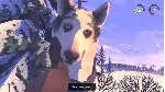 The Red Lantern Steam\РФ+ВесьМир\Key⭐ + Бонус - irongamers.ru