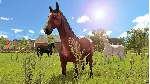❗ MY LITTLE RIDING CHAMPION❗ XBOX ONE/X|S🔑 КЛЮЧ❗ 
