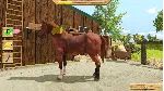 ❗ MY LITTLE RIDING CHAMPION❗ XBOX ONE/X|S🔑 КЛЮЧ❗ 
