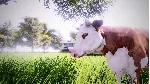 ❗ REAL FARM❗ XBOX ONE/X|S🔑 КЛЮЧ❗ 