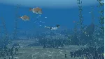 ❗ STORM BOY❗ XBOX ONE/X|S🔑 КЛЮЧ❗ 