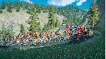 ✅ ❤ ️TOUR DE FRANCE 2023❤ ️XBOX ONE|XS🔑 КЛЮЧ✅ 