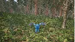 Day of Dragons - Shadow Scale Emote Pack DLC - irongamers.ru