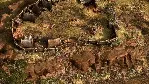 SpellForce 3 Reforced КЛЮЧ🔑 STEAM РФ+СНГ