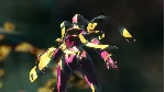 Digimon Story Cyber Sleuth: Complete Edition КЛЮЧ - irongamers.ru