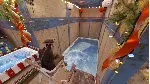 🐟 Авто-рыбалка для Rust | 7 дней
