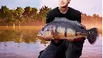 Fishing Sim World: Pro Tour Collector's Ed Xbox активац