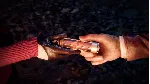 RESIDENT EVIL 4 - SEPARATE WAYS XBOX SERIAS КЛЮЧ - irongamers.ru