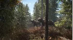 theHunter Call of the Wild + 9 DLC (Steam Ключ РФ+МИР) - irongamers.ru