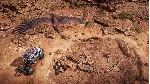 ✅ Expeditions: A MudRunner Game - Supreme Edition 🎮 