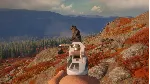 theHunter: Call of the Wild™ - High Caliber Weapon Pack - irongamers.ru