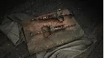Hunt: Showdown - The Son of Gunpowder DLC * STEAM RU ⚡ 