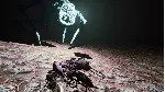 S H R i M P | Steam РУ+UA+KZ+СНГ - irongamers.ru