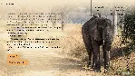 Wanderlust: Travel Stories\GOG\Весь Мир + РФ\Ключ - irongamers.ru