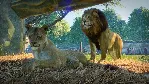 Planet Zoo: Ultimate Edition Xbox Series X|S - irongamers.ru