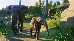 Planet Zoo: Ultimate Edition Xbox Series X|S - irongamers.ru