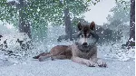 Planet Zoo: Ultimate Edition Xbox Series X|S - irongamers.ru
