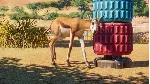 Planet Zoo: Ultimate Edition Xbox Series X|S - irongamers.ru