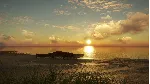 theHunter Call of the Wild Emerald Coast Australia⭐Key - irongamers.ru