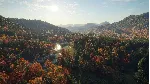 theHunter Call of the Wild New England Mountains⭐Steam - irongamers.ru