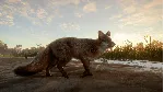 ✅ theHunter: Call of the Wild Mississippi Acres Preserve