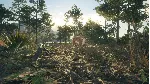✅ theHunter Call of the Wild Rancho del Arroyo⭐Steam\Key