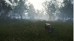 theHunter Call of the Wild Te Awaroa National Park⭐Стим - irongamers.ru