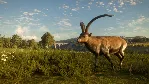 ✅ theHunter Call of the Wild Cuatro Colinas Game Reserve