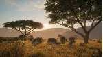 ✅ theHunter Call of the Wild Vurhonga Savanna⭐Steam\Key⭐