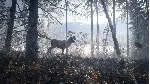theHunter: Call of the Wild Medved-Taiga⭐Steam\Key⭐+ - irongamers.ru