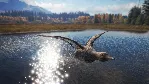 theHunter: Call of the Wild Duck and Cover Pack⭐Steam⭐ - irongamers.ru