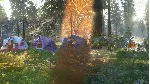 theHunter: Call of the Wild Tents Ground Blinds⭐Steam⭐ - irongamers.ru