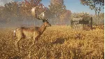 theHunter: Call of the Wild Tents Ground Blinds⭐Steam⭐ - irongamers.ru
