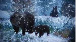 Planet Zoo: Издание Ultimate Edition Xbox активация - irongamers.ru