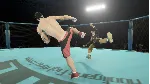 Street Warriors Online: Foolery Set (Skin Pack) STEAM - irongamers.ru