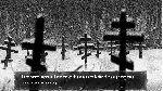 Tiny Bunny/Зайчик {Steam Key/Global/Region Free} + Подарок - irongamers.ru
