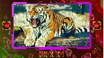 Twizzle Puzzle: Predators Steam\РФ+ВесьМир\Key⭐ - irongamers.ru