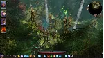 Divinity: Original Sin 2 - Eternal Edit | АВТО gift RU - irongamers.ru
