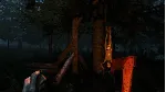 The Forest ( Ru / СНГ Steam Gift )
