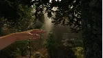 The Forest ( Ru / СНГ Steam Gift )
