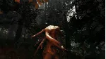 The Forest ( Ru / СНГ Steam Gift )