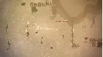 Colt Canyon КЛЮЧ🔑 STEAM ВСЕ СТРАНЫ