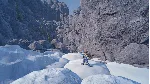 Insurmountable XBOX ЭКСКЛЮЗИВНЫЙ АККАУНТ НЕ РАЗДЕЛЕН - irongamers.ru